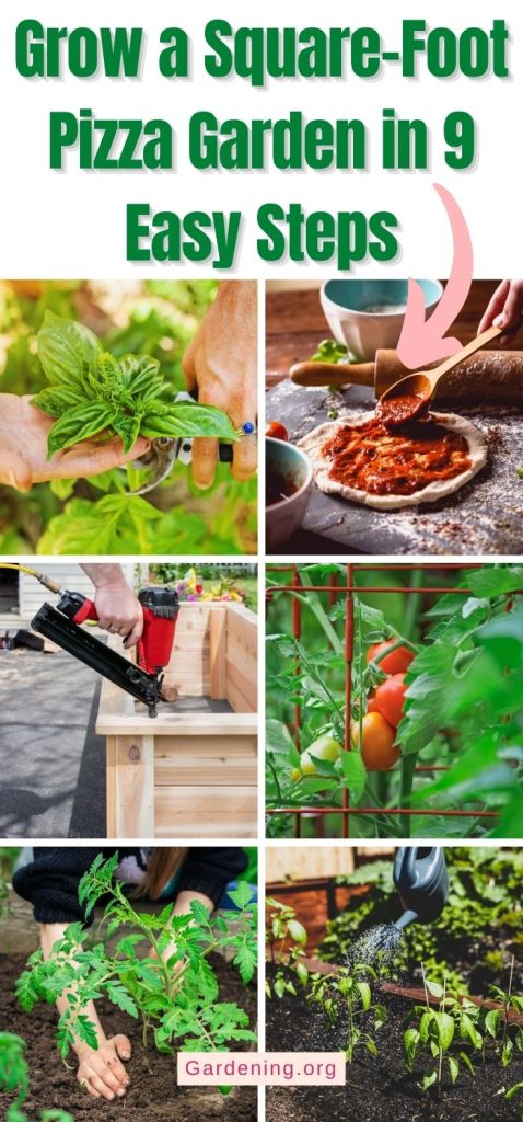 Grow a Square-Foot Pizza Garden in 9 Easy Steps pinterest image.