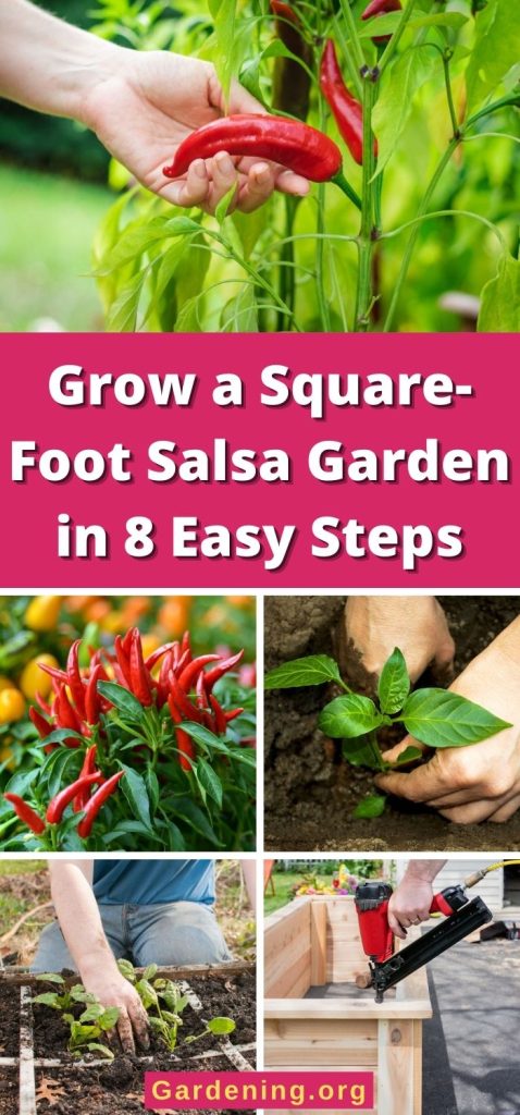 Grow a Square-Foot Salsa Garden in 8 Easy Steps pinterest image.