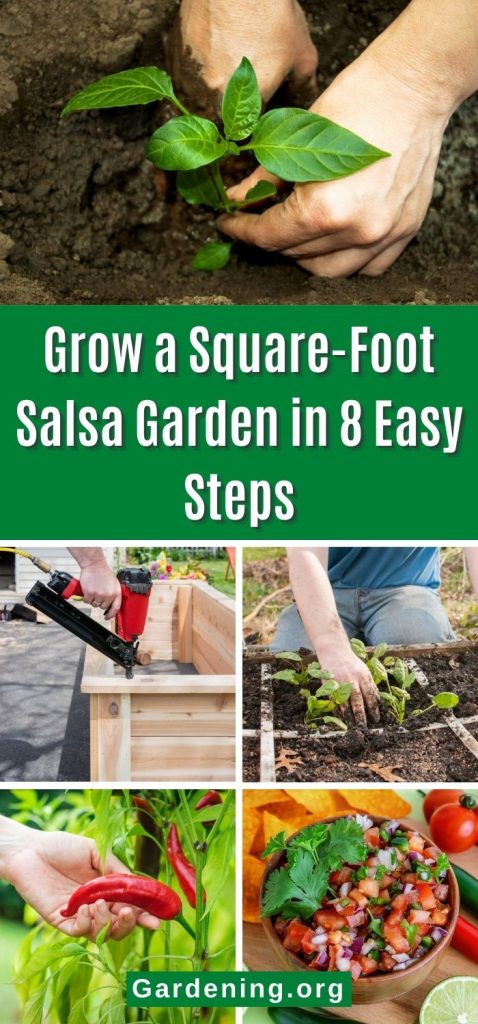 Grow a Square-Foot Salsa Garden in 8 Easy Steps pinterest image.