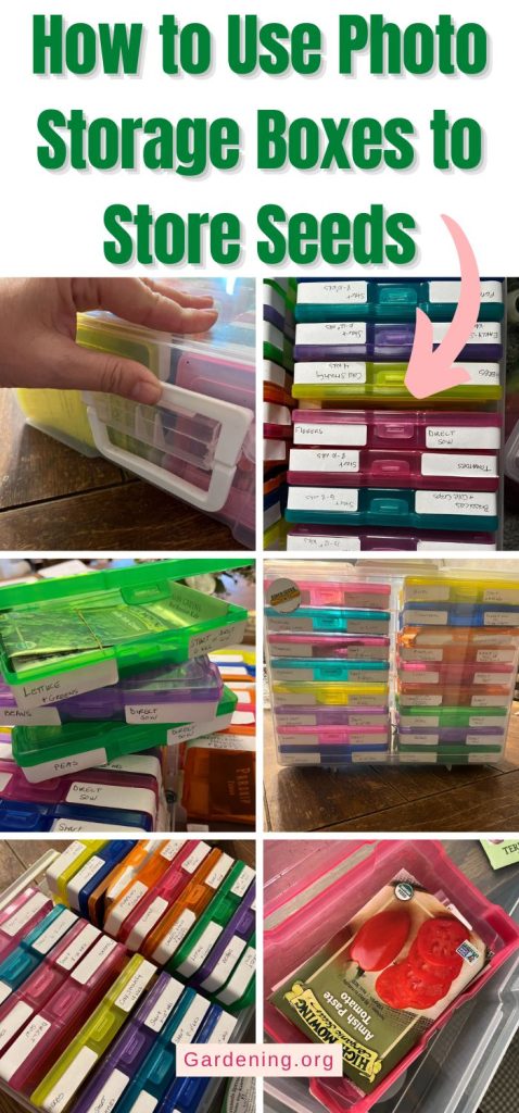 How to Use Photo Storage Boxes to Store Seeds pinterest image.