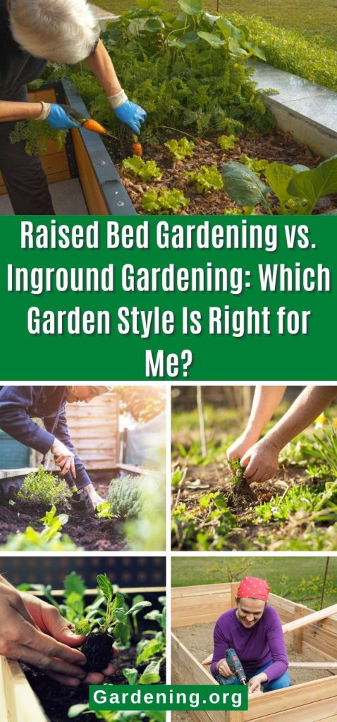 Raised Bed Gardening vs. Inground Gardening: Which Garden Style Is Right for Me? pinterest image.