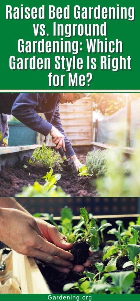 Raised Bed Gardening vs. Inground Gardening: Which Garden Style Is Right for Me? pinterest image.