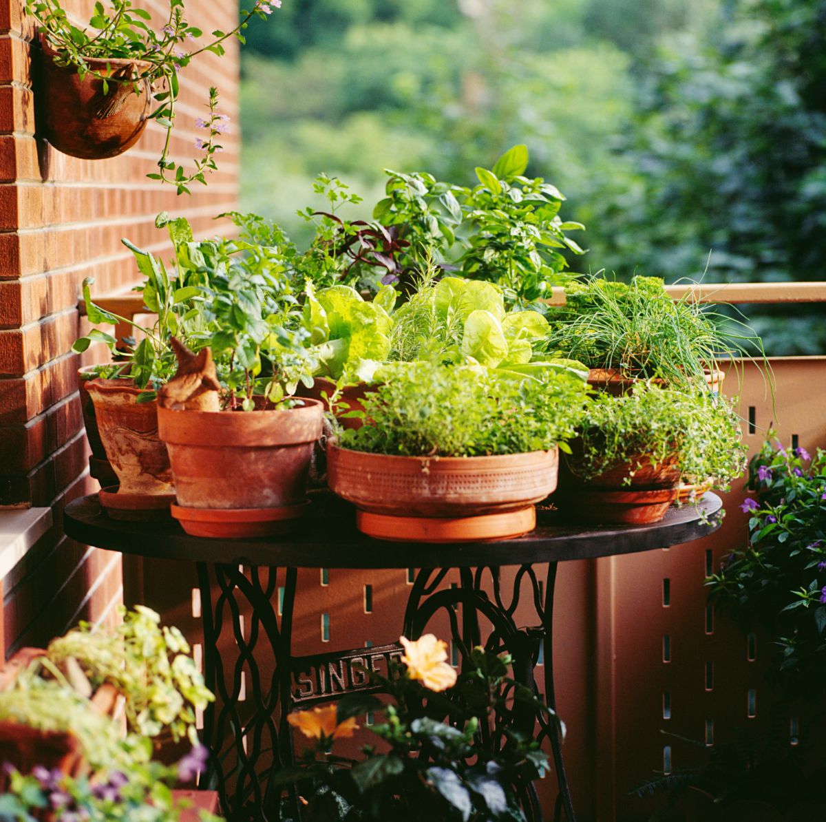 Pretty edible vegetable garden in rustic containers on a porch