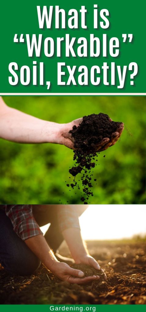 What is “Workable” Soil, Exactly? pinterest image.