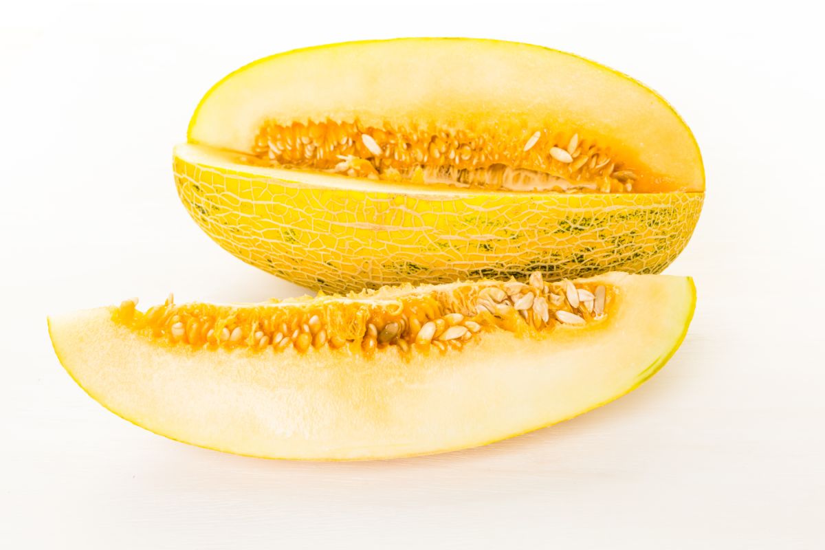 Bright yellow Persian melon