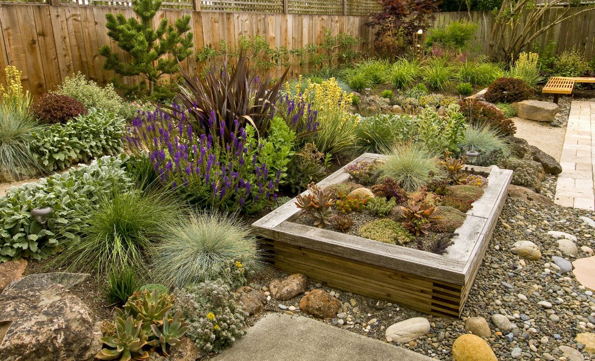 A rock garden with rock features and succulent plants