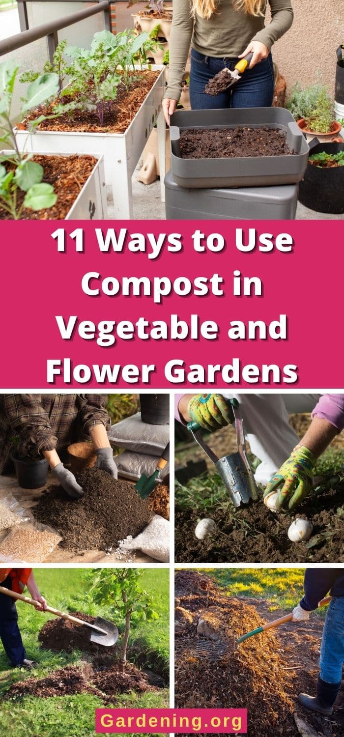 11 Ways to Use Compost in Vegetable and Flower Gardens - Gardening