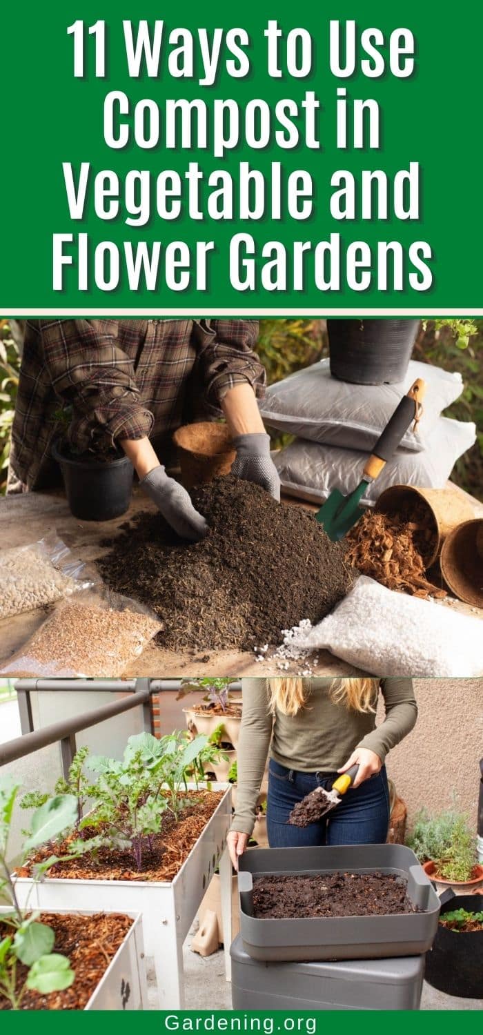 11 Ways to Use Compost in Vegetable and Flower Gardens - Gardening