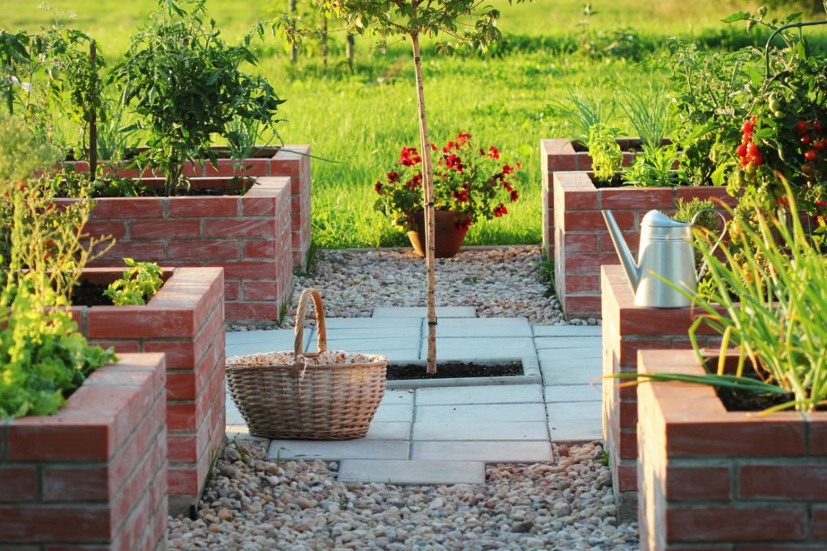 Brick raised beds in a hardscaped garden area