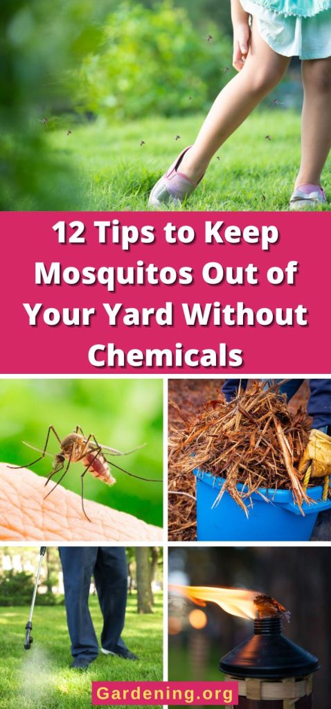 12 Tips to Keep Mosquitos Out of Your Yard Without Chemicals pinterest image.