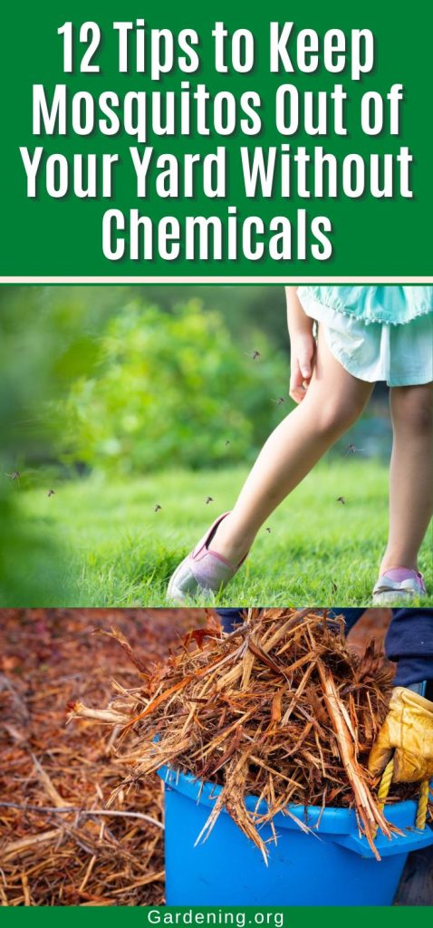 12 Tips to Keep Mosquitos Out of Your Yard Without Chemicals pinterest image.