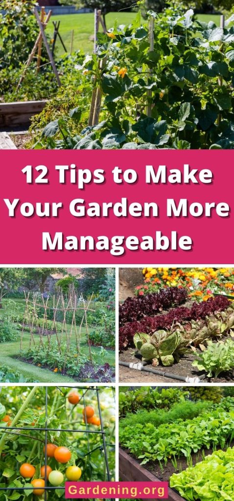 12 Tips to Make Your Garden More Manageable pinterest image.