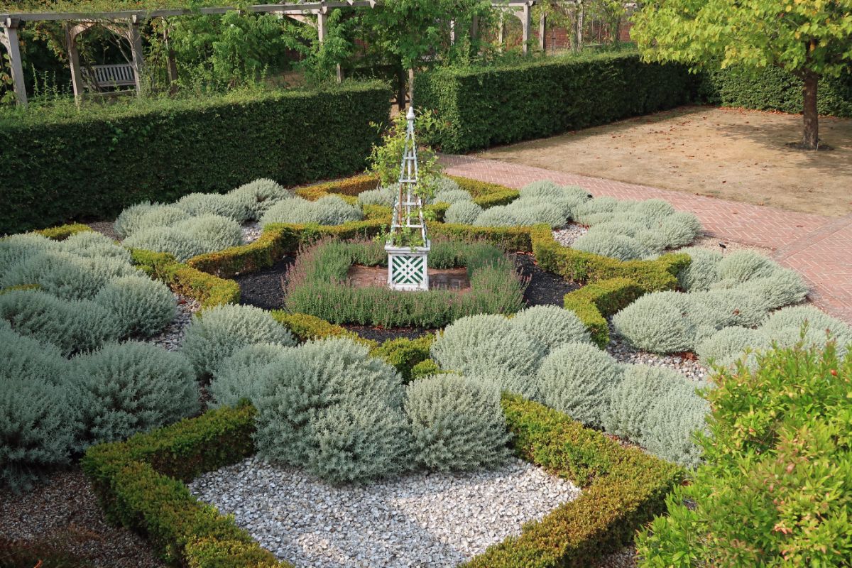 A formal garden with clean structural lines
