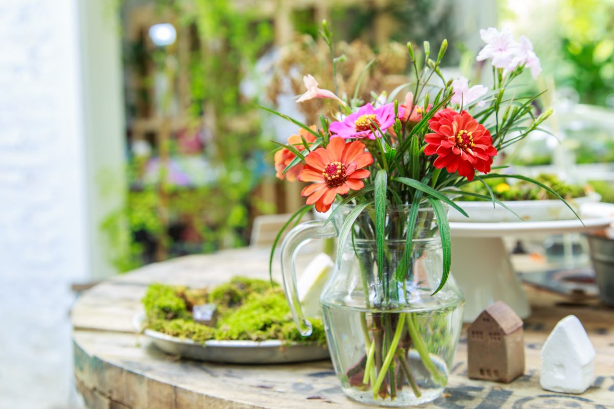 A pretty vase of homegrown flowers