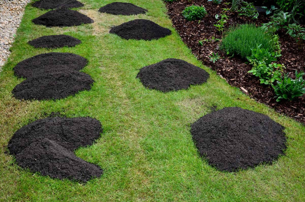 Piles of compost ready for spreading to fertilize a lawn