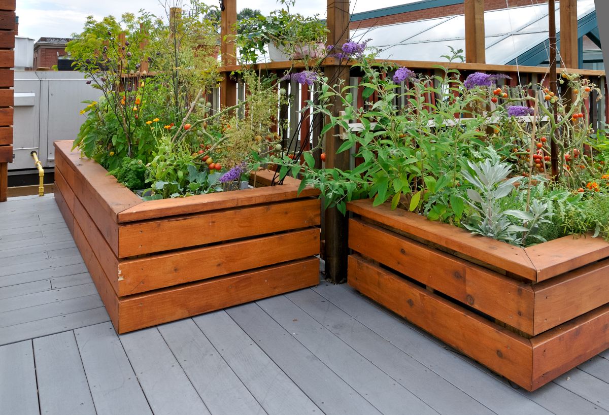 Raised bed gardens on a deck
