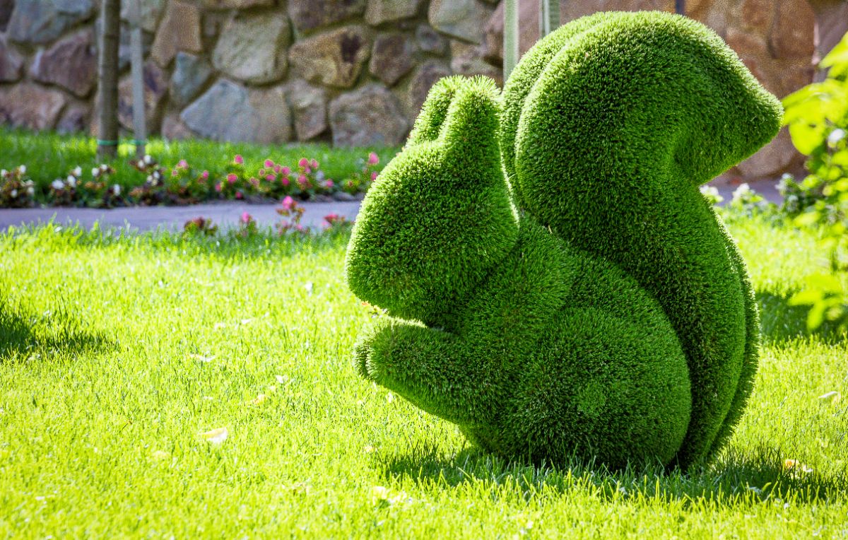A topiary squirrel in a sculpture garden