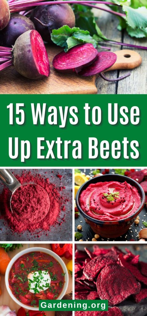 15 Ways to Use Up Extra Beets pinterest image.