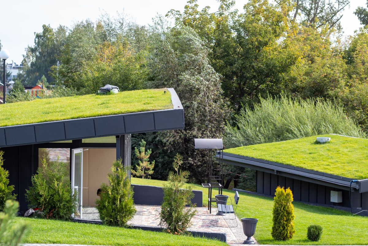 Building with grassy rooftop gardens