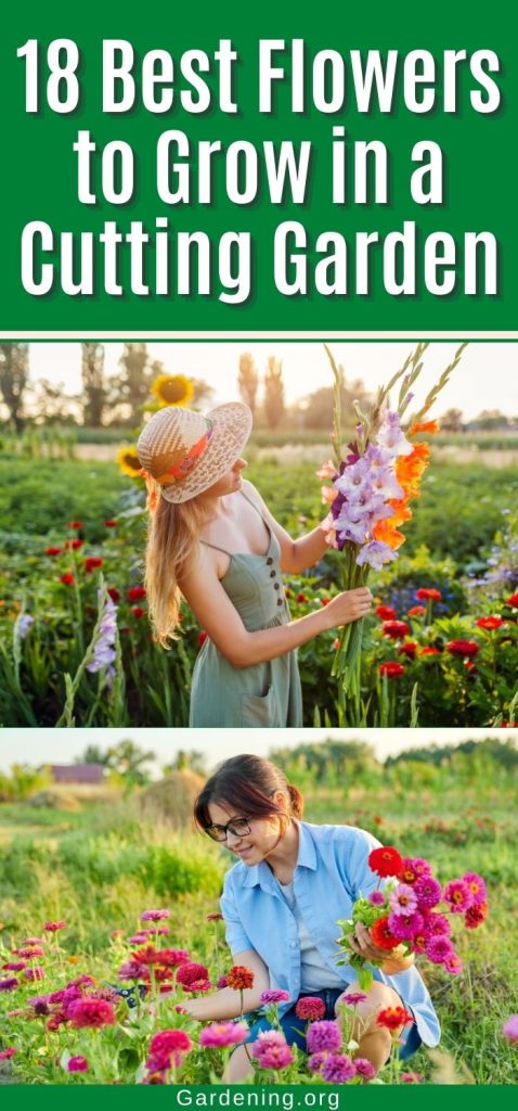 18 Best Flowers to Grow in a Cutting Garden pinterest image.