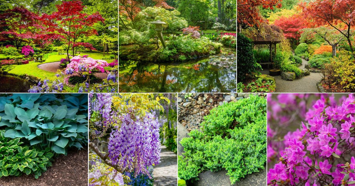 18-plants-to-grow-in-a-traditional-japanese-garden