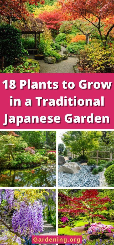 18 Plants to Grow in a Traditional Japanese Garden pinterest image.