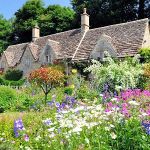 An old cottage with a beautiful garden in full bloom.