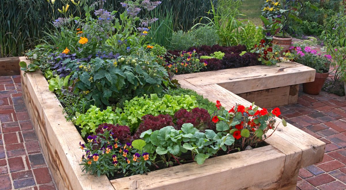 An L shaped raised garden bed