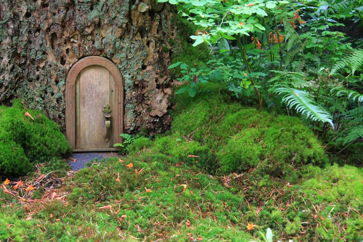 A fairy garden featuring a fairy door leading into a tree