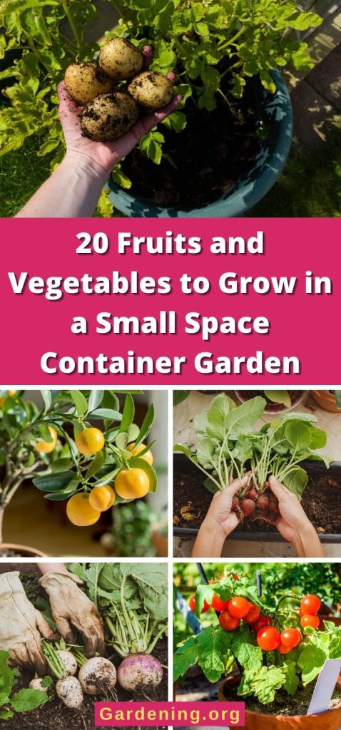 20 Fruits and Vegetables to Grow in a Small Space Container Garden pinterest image.