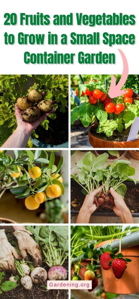 20 Fruits and Vegetables to Grow in a Small Space Container Garden pinterest image.