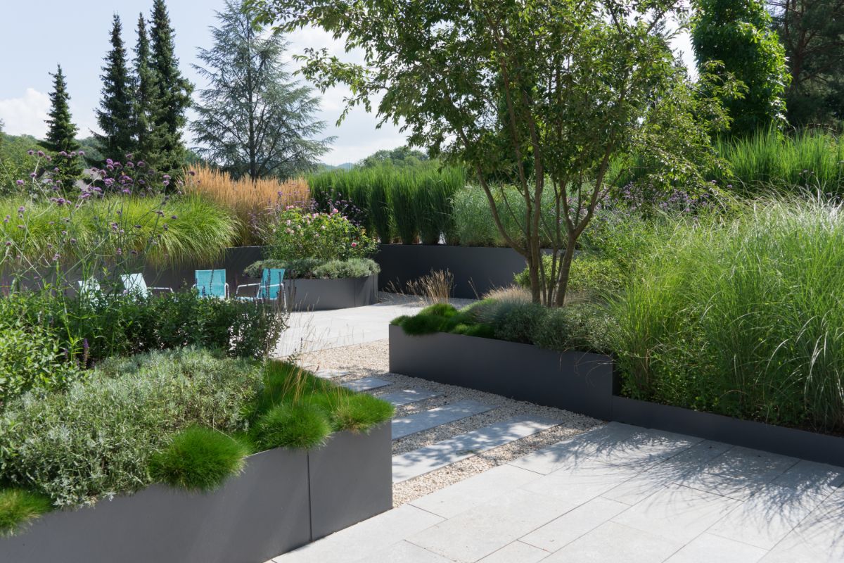 A modern contemporary garden