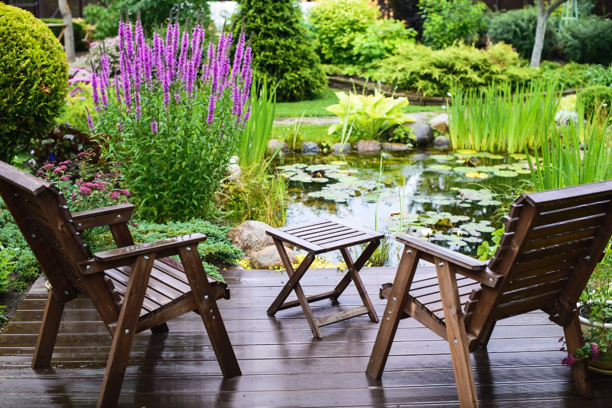 A deck next to a water garden