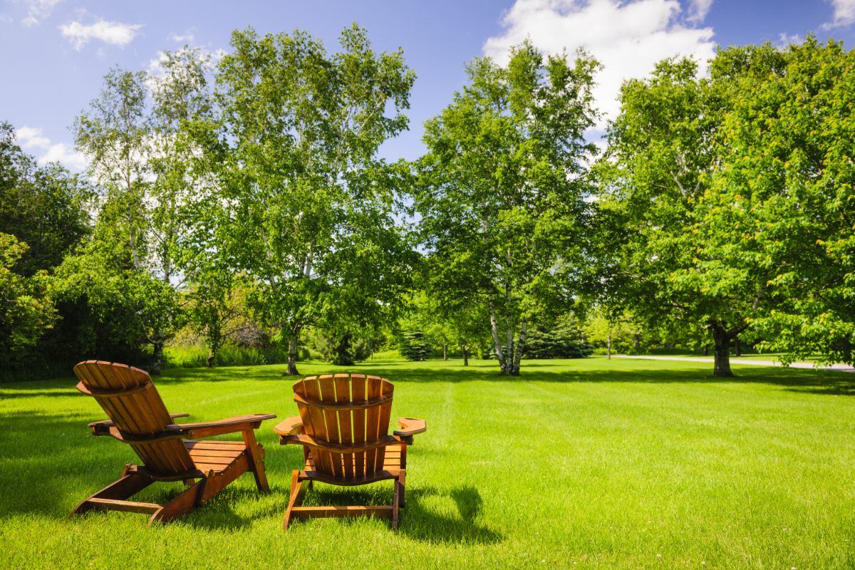 Two lawn chairs look out over an expanse of lawn