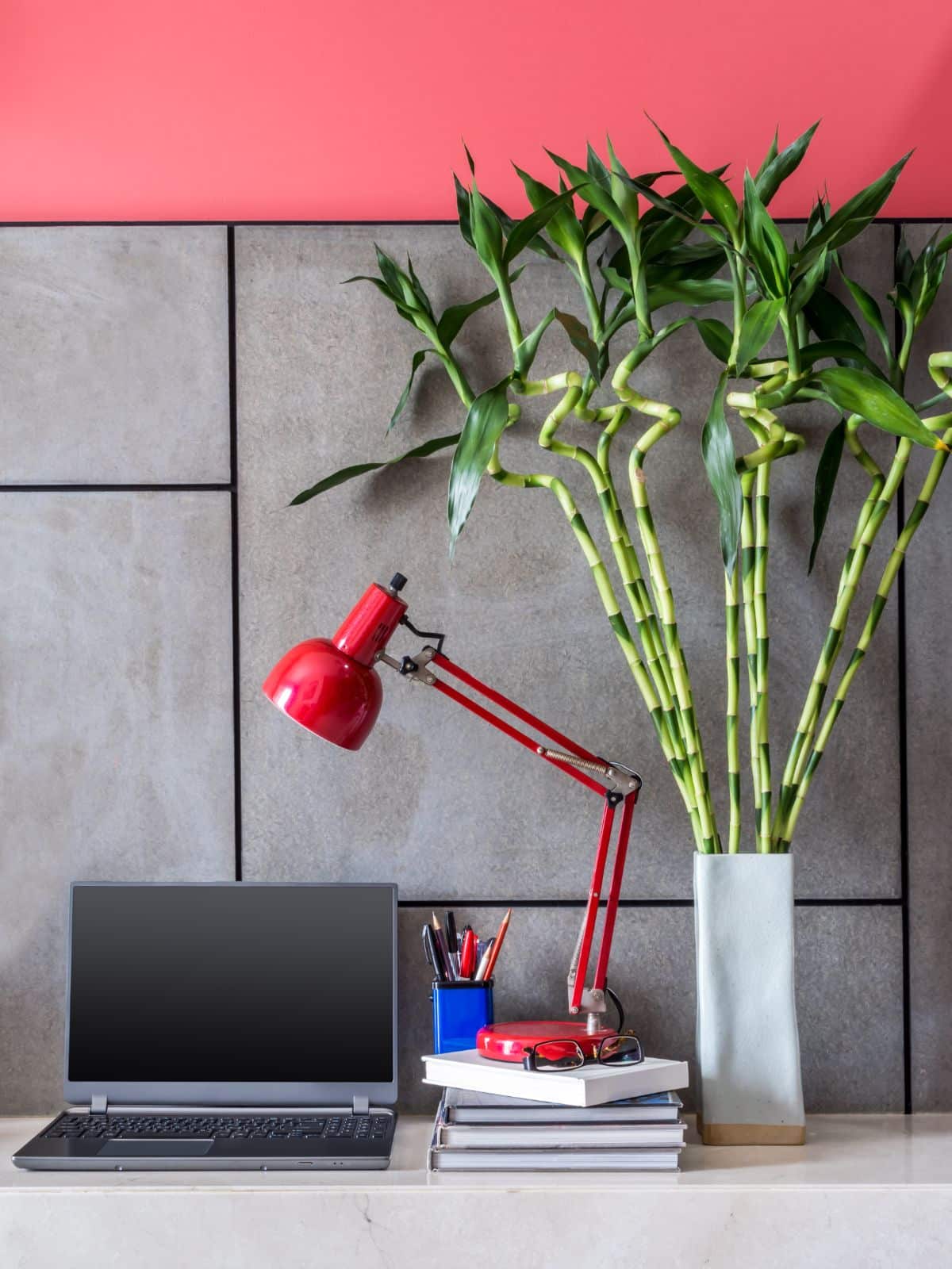 Tall lucky bamboo plants on an office desk