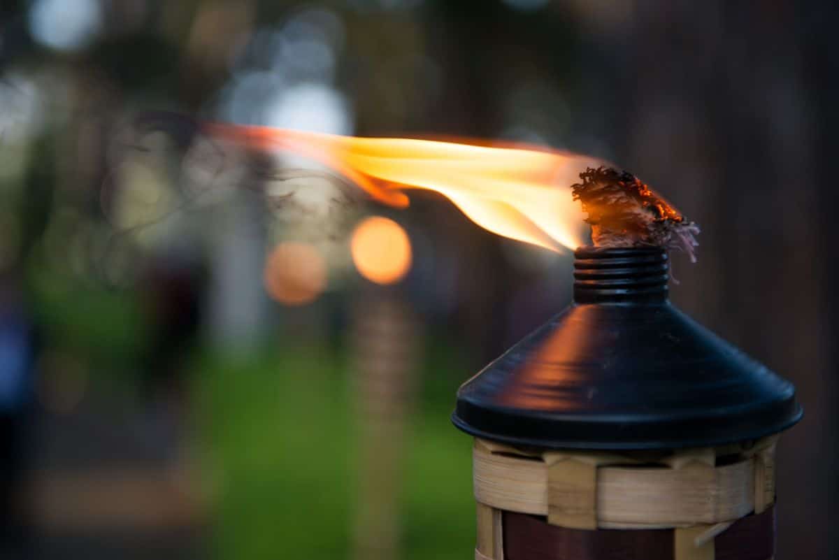 A mosquito-repelling citronella torch