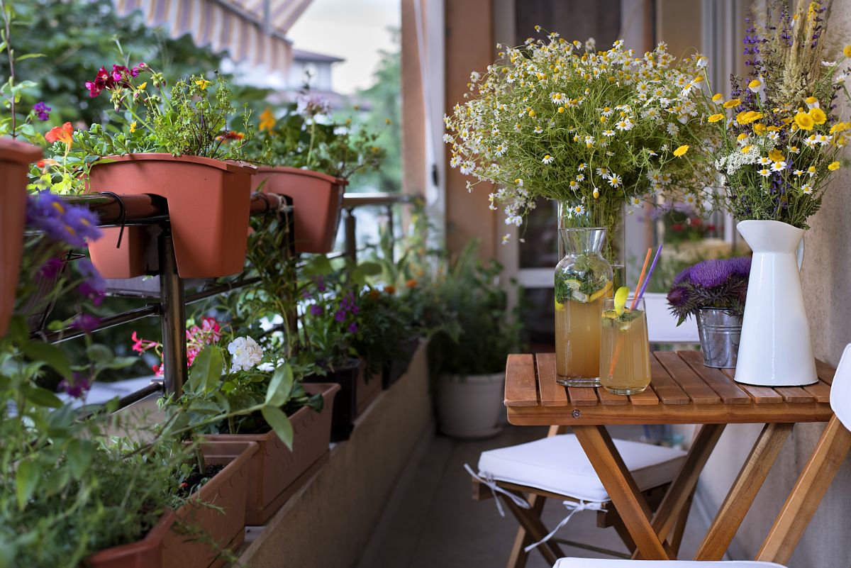 A small space container garden on a balcony