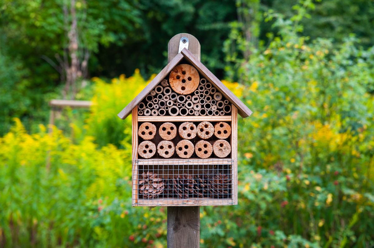 A bee house in a pollinator garden