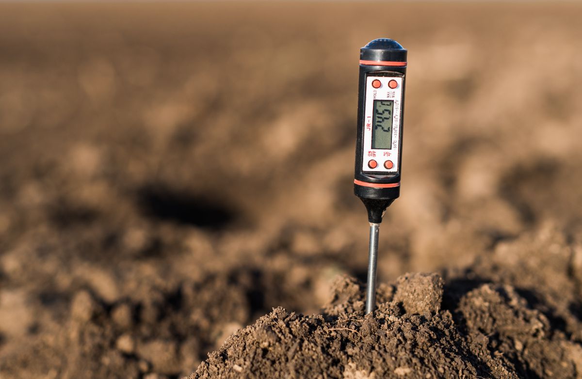 A probe soil tester in soil
