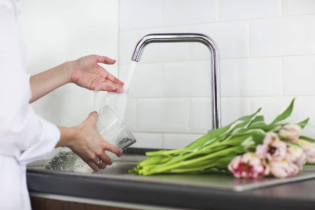 A woman changes the water for her cut flowers