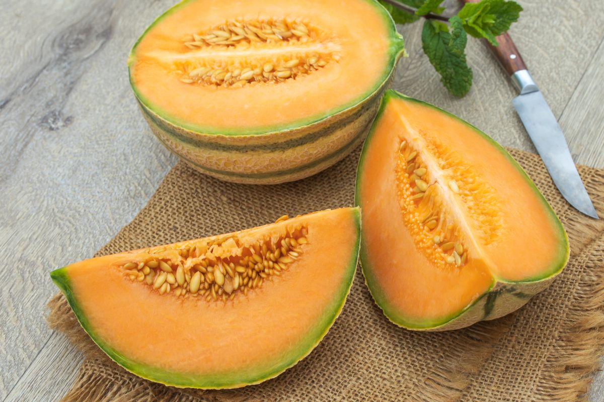 French Charentais cantaloupe