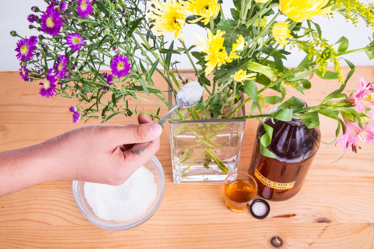 Flower preservative is added to a cut flower arrangement