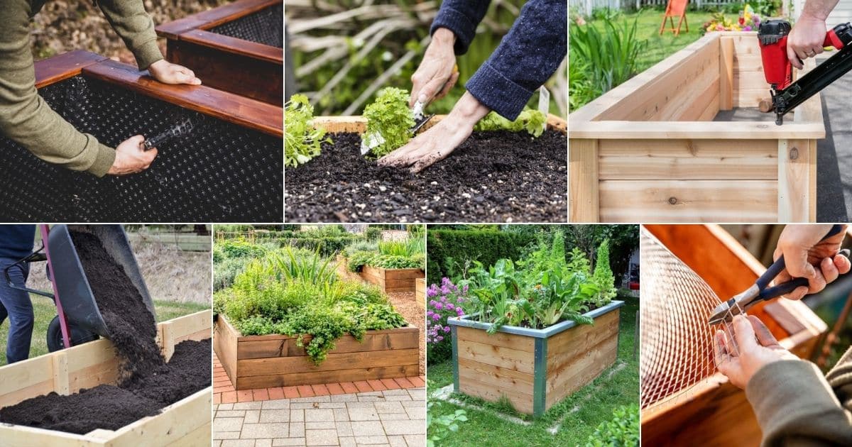 A Beginner’s Guide to Creating a Raised Bed Garden - Gardening