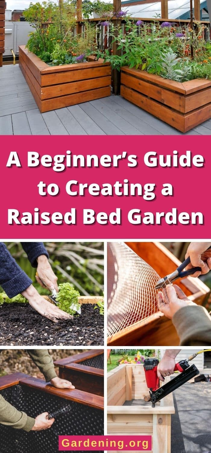 A Beginner’s Guide to Creating a Raised Bed Garden - Gardening