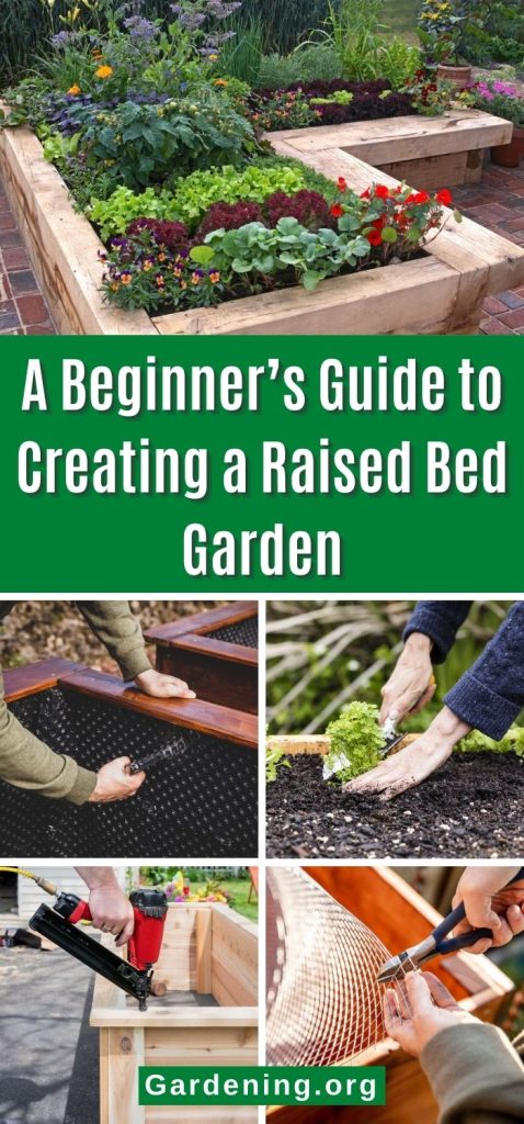 A Beginner’s Guide to Creating a Raised Bed Garden pinterest image.