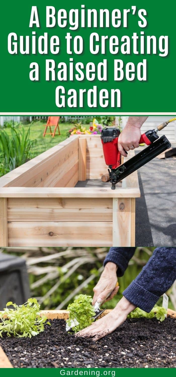 A Beginner’s Guide to Creating a Raised Bed Garden - Gardening