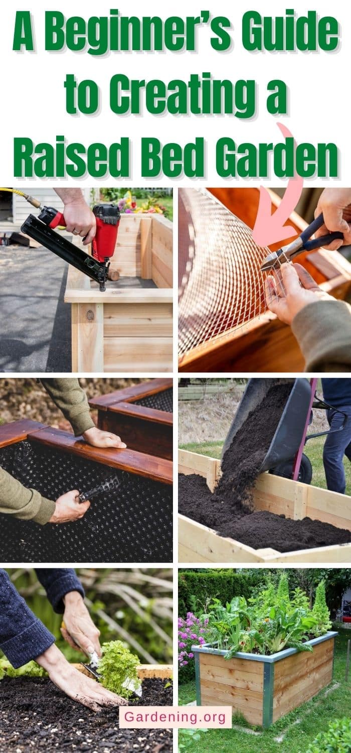 A Beginner’s Guide to Creating a Raised Bed Garden - Gardening
