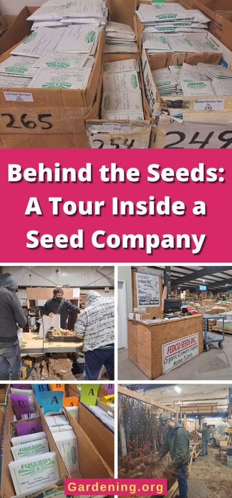 Behind the Seeds: A Tour Inside a Seed Company pinterest image.