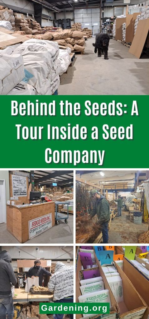 Behind the Seeds: A Tour Inside a Seed Company pinterest image.