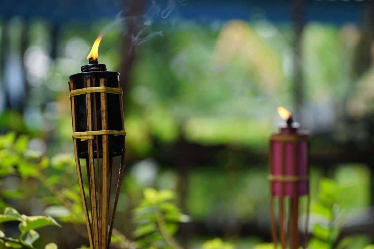 Citronella torches burn to deter mosquitoes